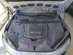 BYD Dolphin 2023 Champion Edition 700km Performance Version - ფოტო 16