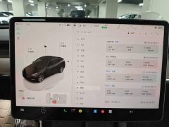 Tesla Model Y Rear-Wheel Drive - ფოტო 12