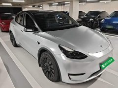 Tesla Model Y Rear-Wheel Drive - ფოტო 4