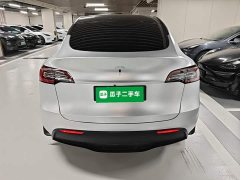Tesla Model Y Rear-Wheel Drive - ფოტო 6