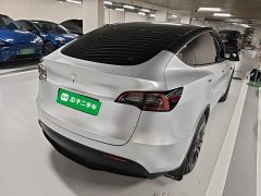 Tesla Model Y Rear-Wheel Drive - ფოტო 7