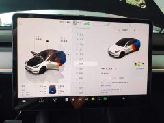 Tesla Model Y 2023 Rear-Wheel Drive - ფოტო 12