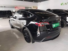 Tesla Model Y 2023 Rear-Wheel Drive - ფოტო 5