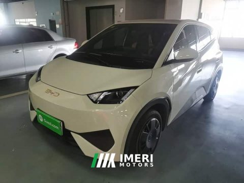 2026 BYD Seagull 2025 Smart Drive 305km Vitality Edition - ავტომობილი ჩინეთიდან