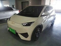 BYD Seagull 2025 Smart Drive 305km Vitality Edition - ფოტო 2