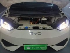 BYD Seagull 2025 Smart Drive 305km Vitality Edition - ფოტო 20