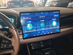 BYD Han 2020 EV Ultra-Long Range Luxury - ფოტო 13