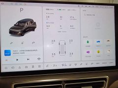 Li Auto L9 2022 Max - ფოტო 12