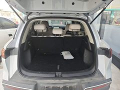 BYD Yuan UP 301KM Pilot Edition - ფოტო 19