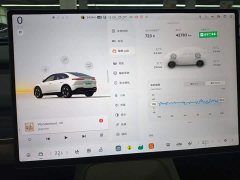 Nio Lerado L60 60kWh AWD - ფოტო 12