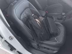 Volkswagen Tiguan L Outstanding Edition 300TSI Automatic FWD Dragon Ascendant Version - ფოტო 20