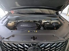 GAC Aion GS8 2022 Pioneer Series 2.0T GDI FWD Luxury Smart Connected Edition 7-Seater - ფოტო 20