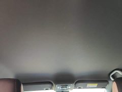 BYD Seagull Smart Drive 305km Vitality Edition - ფოტო 18