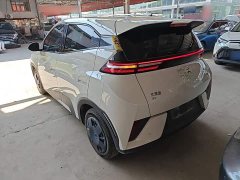 BYD Seagull Smart Drive 305km Vitality Edition - ფოტო 5