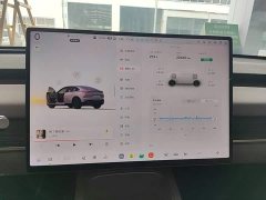 Nio Lerado L60 2024 60kWh Rear-Wheel Drive - ფოტო 12