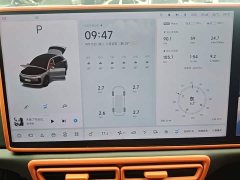 Li Auto L6 Pro - ფოტო 12