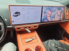Li Auto L6 Pro - ფოტო 13