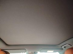 Li Auto L6 Pro - ფოტო 18