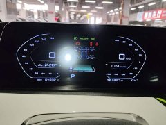 Changan Benben E-Star 2020 Heartbeat Edition Ternary Lithium - ფოტო 12