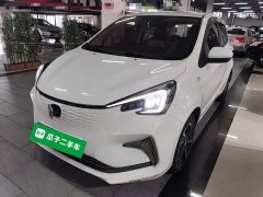Changan Benben E-Star 2020 Heartbeat Edition Ternary Lithium - ფოტო 2