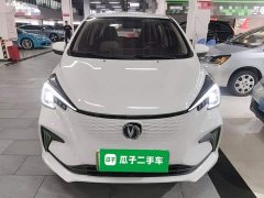 Changan Benben E-Star 2020 Heartbeat Edition Ternary Lithium - ფოტო 3