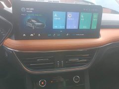Ford Sharp 2020 EcoBoost 245 FWD Prestige - ფოტო 13