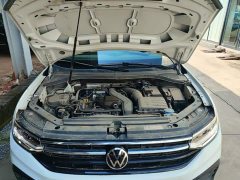 Volkswagen Tiguan L Outstanding Edition 300TSI Automatic FWD Dragon Ascendant Version - ფოტო 20