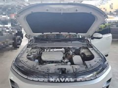 Haval Xiaolong MAX Hi4 165 Ultra Intelligent Driving Edition - ფოტო 20