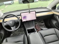 Tesla Model 3 2021 Standard Range RWD Upgrade 3D6 - ფოტო 6