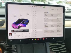 Tesla Model 3 2021 Standard Range RWD Upgrade 3D6 - ფოტო 8