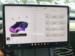 Tesla Model 3 2021 Standard Range RWD Upgrade 3D6 - ფოტო 9