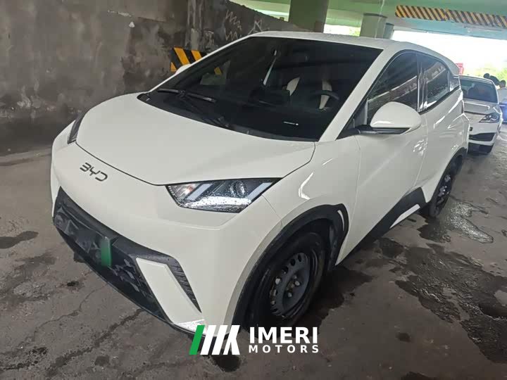 BYD Seagull Glory Edition 305km Vitality Version - ავტომობილი ჩინეთიდან