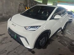 BYD Seagull Glory Edition 305km Vitality Version - ფოტო 1