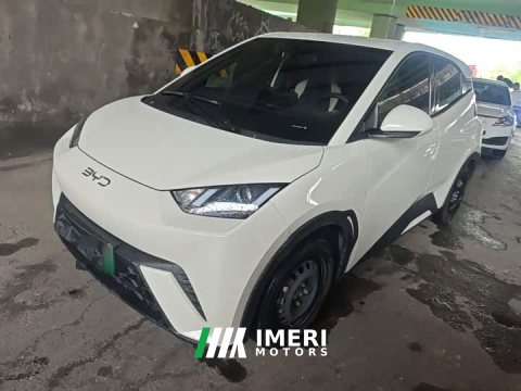 2024 BYD Seagull Glory Edition 305km Vitality Version - ავტომობილი ჩინეთიდან