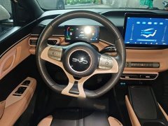 BYD Seagull Glory Edition 305km Vitality Version - ფოტო 11