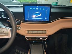 BYD Seagull Glory Edition 305km Vitality Version - ფოტო 13