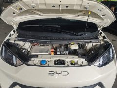 BYD Seagull Glory Edition 305km Vitality Version - ფოტო 20