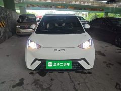 BYD Seagull Glory Edition 305km Vitality Version - ფოტო 3