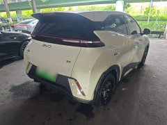 BYD Seagull Glory Edition 305km Vitality Version - ფოტო 7