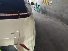 BYD Seagull Glory Edition 305km Vitality Version - ფოტო 8