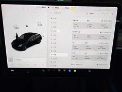 Tesla Model 3 Standard Range RWD Upgrade - ფოტო 12