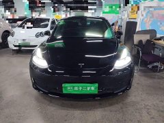 Tesla Model 3 Standard Range RWD Upgrade - ფოტო 3