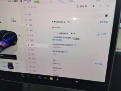 Tesla Model Y Rear-Wheel Drive - ფოტო 12