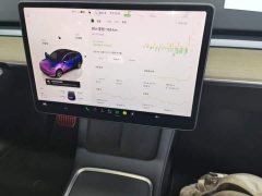 Tesla Model Y Rear-Wheel Drive - ფოტო 13