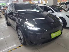 Tesla Model Y Rear-Wheel Drive - ფოტო 4
