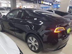 Tesla Model Y Rear-Wheel Drive - ფოტო 5