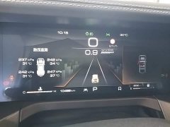 Tank 300 2.0T Frontier Limited Edition - ფოტო 12