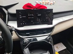 Lynk & Co 06 EM-P PHEV Shero Pink Special Edition - ფოტო 13