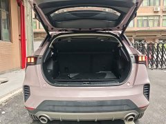 Lynk & Co 06 EM-P PHEV Shero Pink Special Edition - ფოტო 19