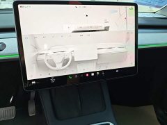 Tesla Model Y Rear-Wheel Drive - ფოტო 10